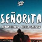 shawn mendes & Camila Cabello music senorita