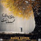 آهنگ محمدرضا منصوری به نام بانوی باران