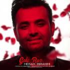 آهنگ meysam ebrahimi به نام gole rose 🌹 ♥️ 